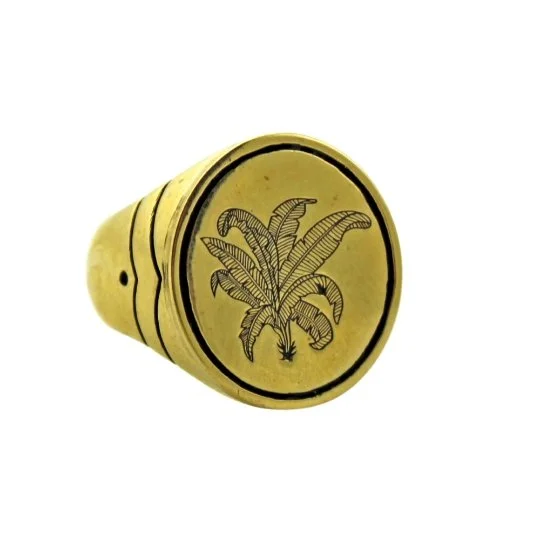 women’s wedding rings with gemstone embellishments-Brass Palm Springs Signet Ring